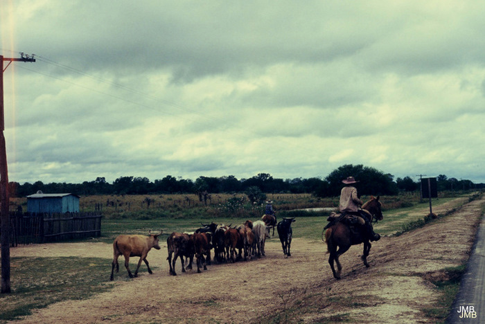 AÑO 1985 - COLOR - VIDA CAMPESINA EN PARAGUAY (JOSÉ MARÍA BLANCH)
